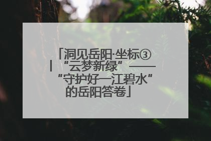 洞见岳阳·坐标③丨“云梦新绿”——“守护好一江碧水”的岳阳答卷