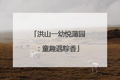 洪山一幼悦蒲园：童趣遇粽香