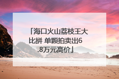 海口火山荔枝王大比拼 单颗拍卖出6.8万元高价