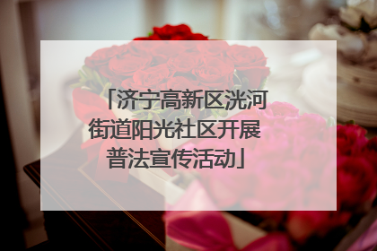 济宁高新区洸河街道阳光社区开展普法宣传活动