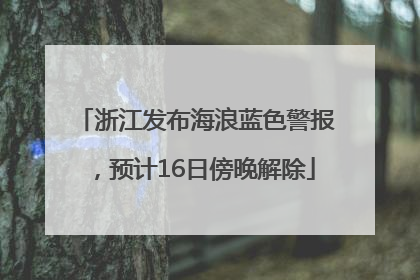 浙江发布海浪蓝色警报，预计16日傍晚解除