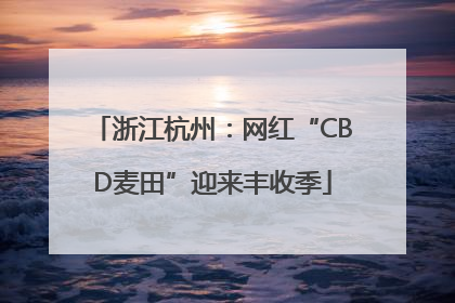 浙江杭州：网红“CBD麦田”迎来丰收季
