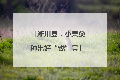 淅川县：小果桑种出好“钱”景