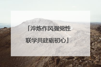 淬炼作风强党性 联学共建砺初心