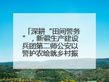 深耕“田间警务”，新疆生产建设兵团第二师公安以警护农绘就乡村振兴平安画卷