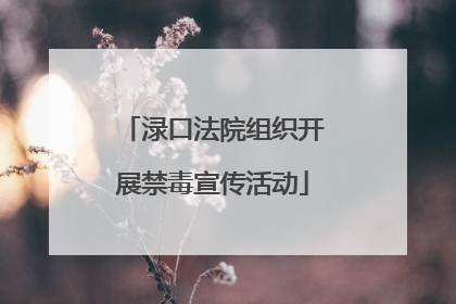 渌口法院组织开展禁毒宣传活动