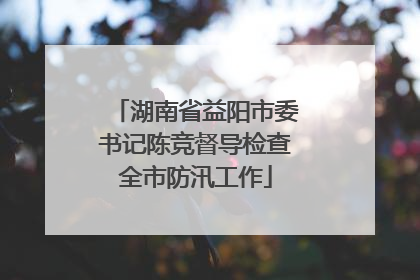 湖南省益阳市委书记陈竞督导检查全市防汛工作