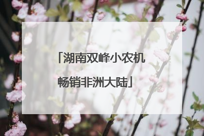 湖南双峰小农机畅销非洲大陆