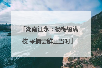 湖南江永：杨梅缀满枝 采摘尝鲜正当时