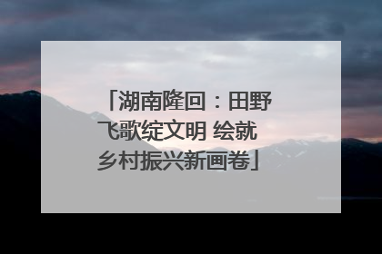湖南隆回：田野飞歌绽文明 绘就乡村振兴新画卷