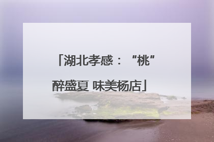 湖北孝感：“桃”醉盛夏 味美杨店