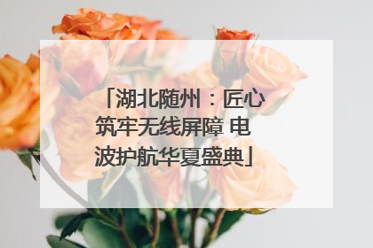 湖北随州：匠心筑牢无线屏障 电波护航华夏盛典
