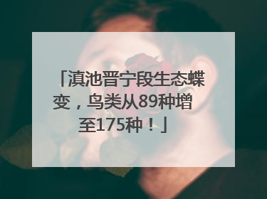 滇池晋宁段生态蝶变，鸟类从89种增至175种！