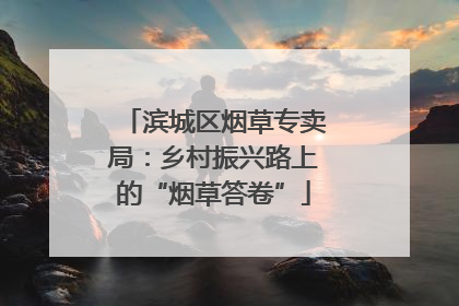 滨城区烟草专卖局：乡村振兴路上的“烟草答卷”