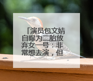 演员包文婧自曝为二胎放弃女一号：非常想去演，但不能冒风险