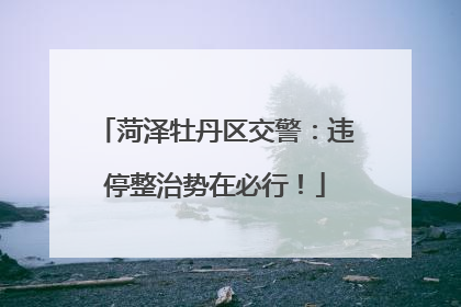 菏泽牡丹区交警：违停整治势在必行！