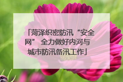 菏泽织密防汛“安全网” 全力做好内河与城市防汛备汛工作