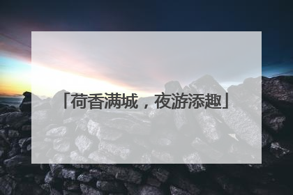 荷香满城，夜游添趣