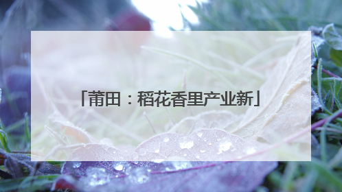 莆田：稻花香里产业新