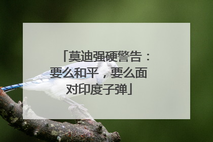莫迪强硬警告：要么和平，要么面对印度子弹