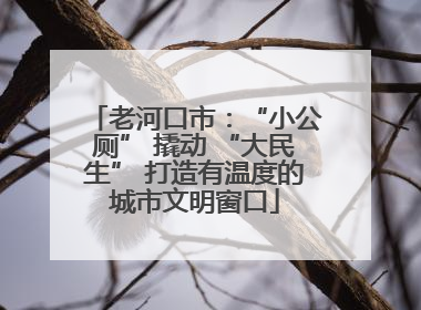 老河口市：“小公厕” 撬动 “大民生” 打造有温度的城市文明窗口