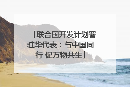 联合国开发计划署驻华代表：与中国同行 促万物共生