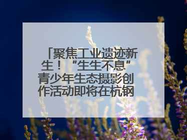 聚焦工业遗迹新生！“生生不息”青少年生态摄影创作活动即将在杭钢公园启动