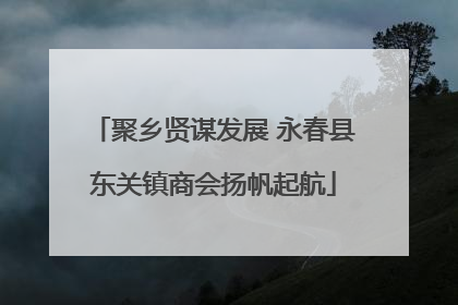 聚乡贤谋发展 永春县东关镇商会扬帆起航