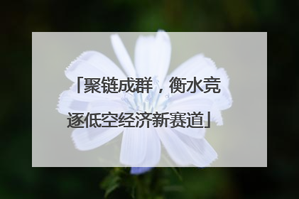 聚链成群，衡水竞逐低空经济新赛道