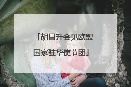 胡昌升会见欧盟国家驻华使节团