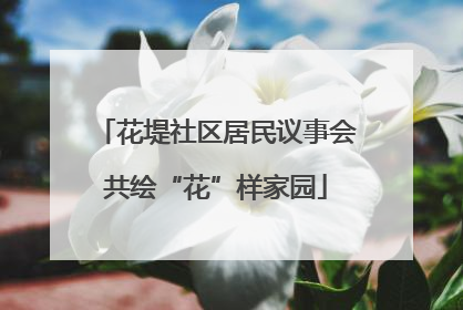 花堤社区居民议事会共绘“花”样家园