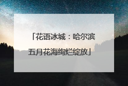 花语冰城：哈尔滨五月花海绚烂绽放