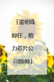 董明珠卸任，格力芯片公司换帅