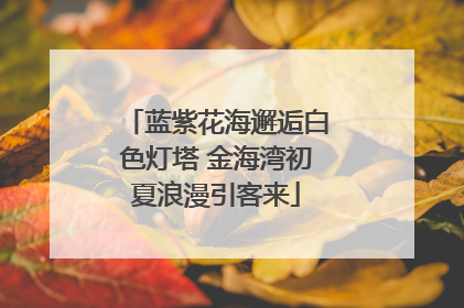 蓝紫花海邂逅白色灯塔 金海湾初夏浪漫引客来