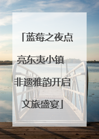 蓝莓之夜点亮东夷小镇 非遗雅韵开启文旅盛宴