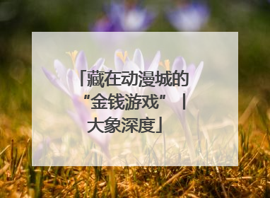 藏在动漫城的“金钱游戏”丨大象深度