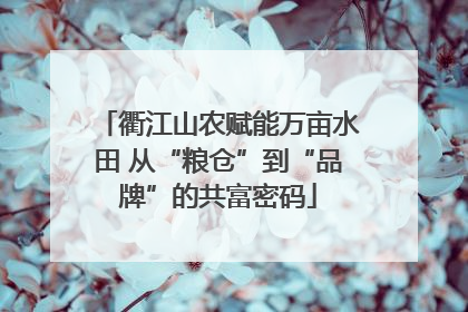 衢江山农赋能万亩水田 从“粮仓”到“品牌”的共富密码