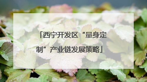 西宁开发区“量身定制”产业链发展策略