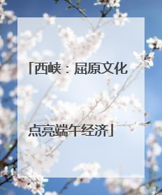 西峡：屈原文化点亮端午经济