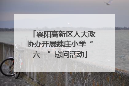 襄阳高新区人大政协办开展魏庄小学“六一”慰问活动