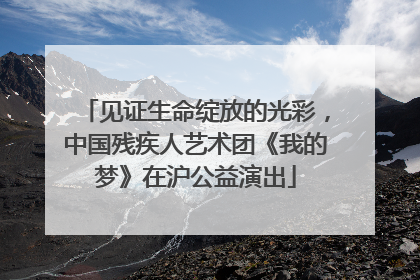 见证生命绽放的光彩，中国残疾人艺术团《我的梦》在沪公益演出