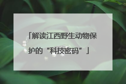 解读江西野生动物保护的“科技密码”