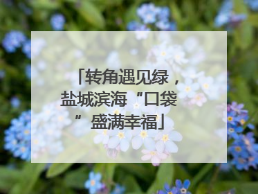 转角遇见绿，盐城滨海“口袋”盛满幸福