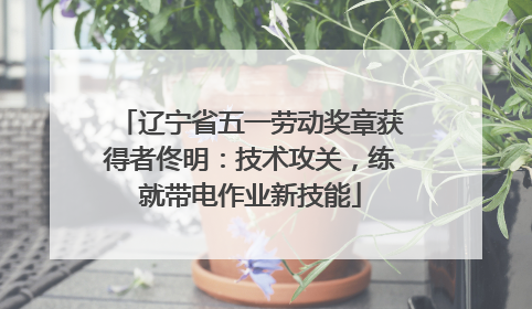 辽宁省五一劳动奖章获得者佟明：技术攻关，练就带电作业新技能
