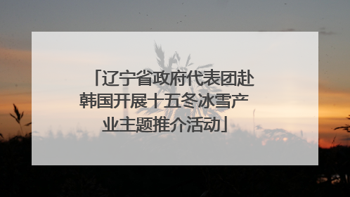 辽宁省政府代表团赴韩国开展十五冬冰雪产业主题推介活动