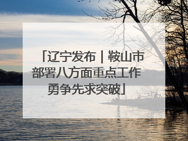 辽宁发布|鞍山市部署八方面重点工作勇争先求突破