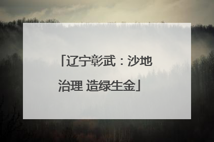 辽宁彰武：沙地治理 造绿生金