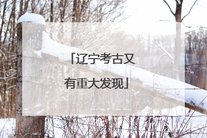 辽宁考古又有重大发现