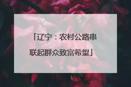 辽宁：农村公路串联起群众致富希望