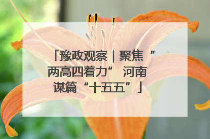 豫政观察｜聚焦“两高四着力” 河南谋篇“十五五”